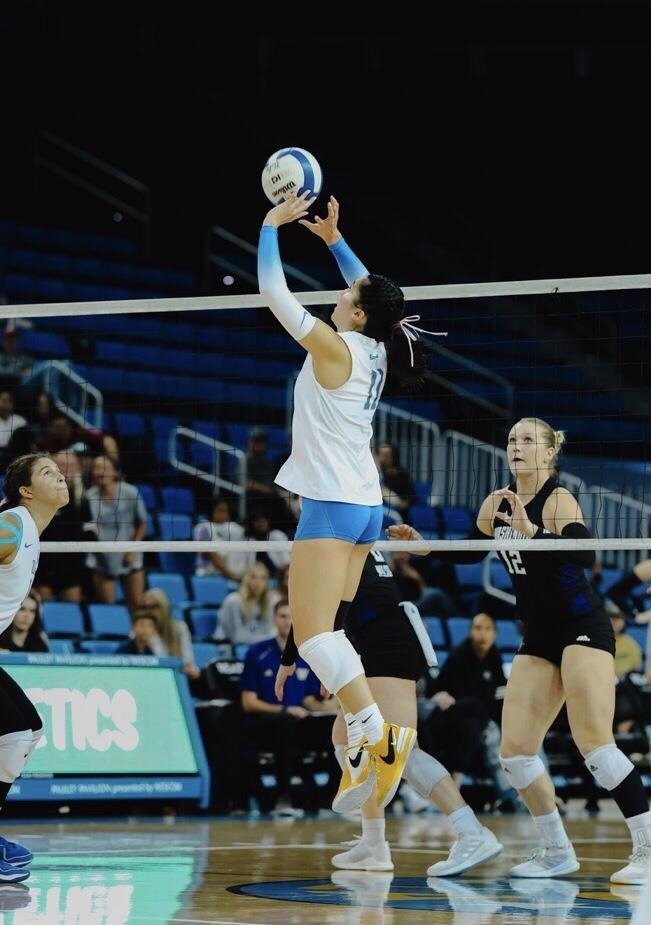 대학 선수 시절 토스하는 오드리 박 (출처=연합뉴스)