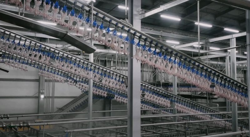 [서울=뉴시스] 전라북도 익산시에 위치한 하림의 '닭고기 종합처리센터'(PPC)에서 닭고기 도계 공정 중 차가운 공기를 이용해 약 41도의 육심 온도를 2도까지 급속으로 낮추는 '에어칠링'을 거치고 있다. (사진= 하림지주 제공) photo@newsis.com