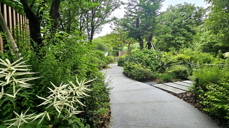 [제주=뉴시스] 임재영 기자 = 제주 서귀포시 중문관광단지에 위치한 롯데호텔 제주의 야외 '원생정원'은 국내 호텔업계 최초의 민간정원으로 등재됐다. 2025.05.20. ijy788@newsis.com