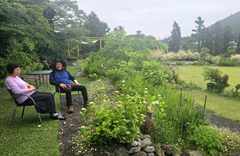 [제주=뉴시스] 임재영 기자 = 빌레못정원을 조성하고 있는 김형도·이성이씨 부부는 매일 아침 정원에 앉아 차를 마시며 안식과 평온함을 얻고 있다. 2025.05.20. ijy788@newsis.com