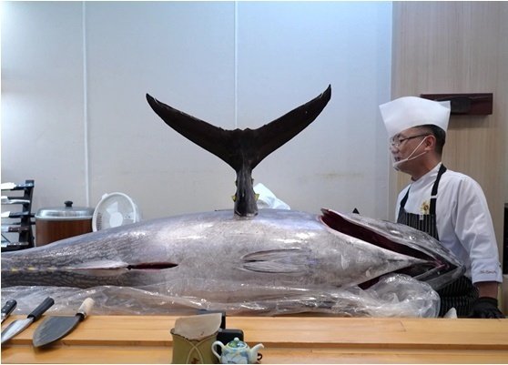 '사당귀' 안유성, 1000만원 상당 166kg 생참치 해체쇼 [N컷]