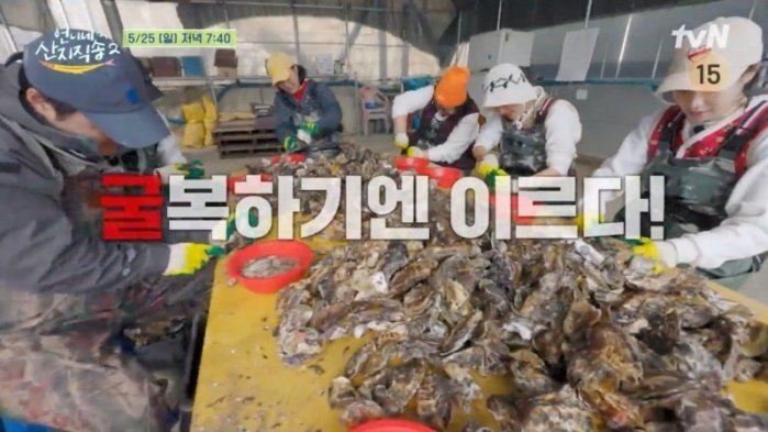 '언산2' 4남매→김재화·윤경호, 900kg 굴 따러 간다…곡소리 난무