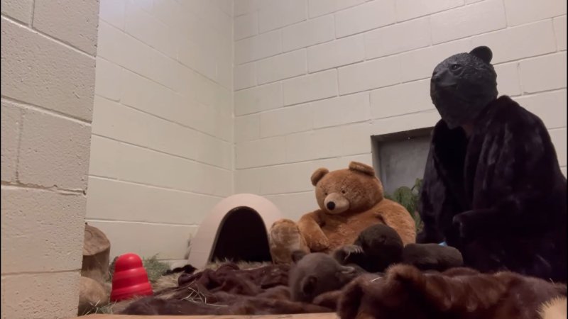 (사진='샌디에이고 동물보호협회' 인스타그램 캡처) *재판매 및 DB 금지