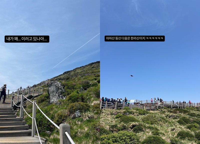 박신혜, 근황 공개 "내가 왜 이러고 있나"…왜?