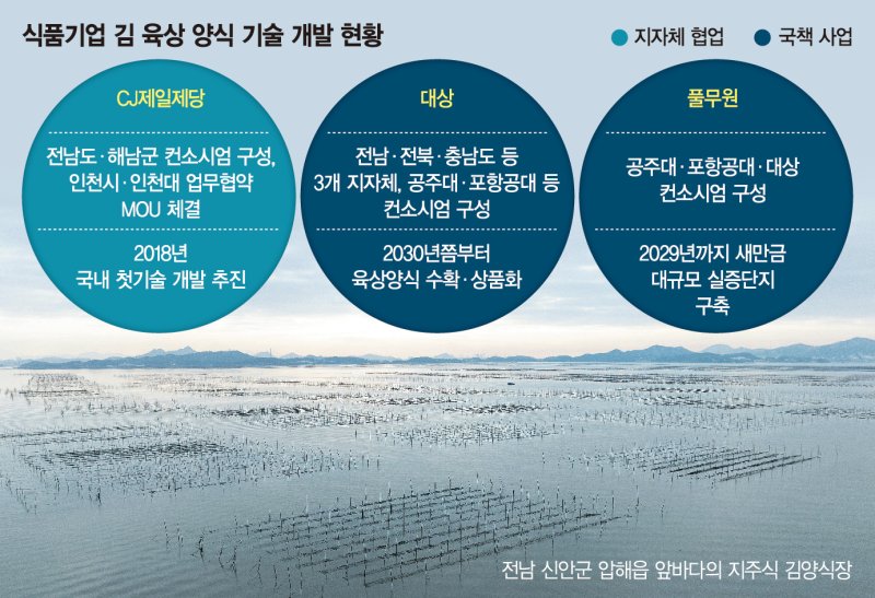 '검은 반도체’ 미래 먹거리 낙점…김 육상양식 기술 개발 속도전