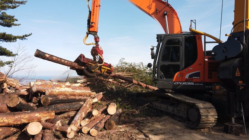 산불피해목 수집 현장 뉴스1