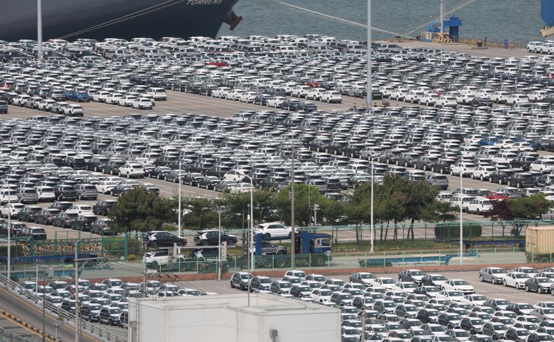 경기 평택시 포승읍 평택항 자동차전용부두에 수출용 차량들이 세워져 있다. ⓒ News1 김영운 기자