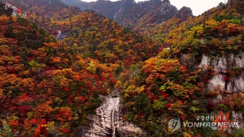 북한TV, 금강산 가을단풍 소개 (출처=연합뉴스)