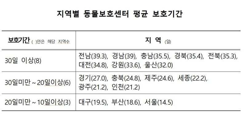 반려동물 349만시대...구조된 동물 11%만 가족 품으로