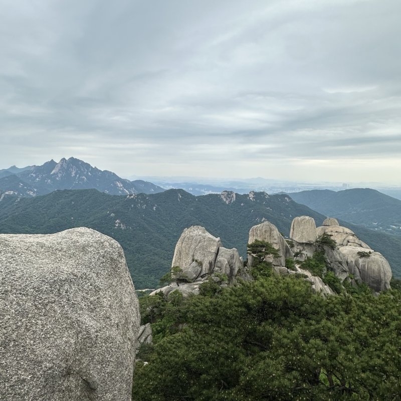 북한산국립공원 오봉 일대에서 바라본 백운대·인수봉·만경대 (사진 좌측) 2025.5.24/바카라사이트 쇼미더벳1 ⓒ News1 이상휼 바카라사이트 쇼미더벳