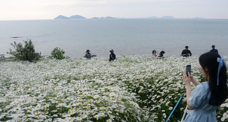 [부안=뉴시스] 김얼 기자 = 우리카지노 바카라사이트 부안군 변산면 마실길에 샤스타데이지가 만개해 있다. 2025.05.23. pmkeul@newsis.com