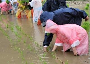바카라사이트 굿모닝 제공