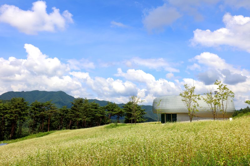바카라사이트 벳위즈 전경(한국수목원정원관리원 제공.재판매 및 DB금지) /바카라사이트 벳위즈1