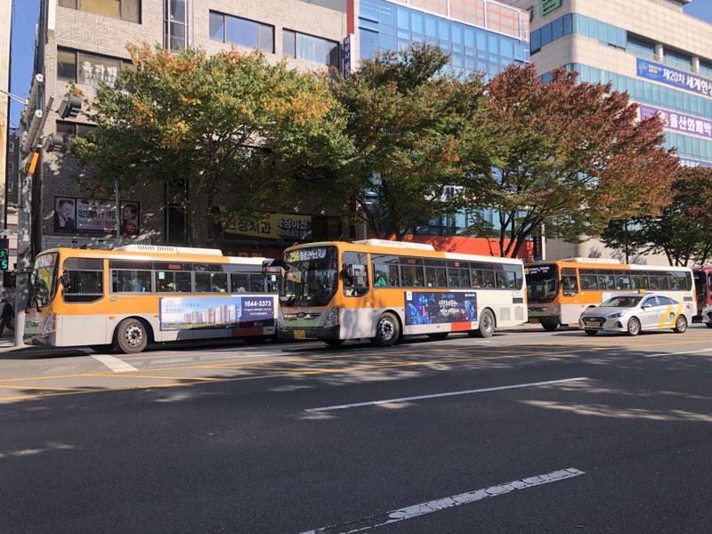 바카라사이트 장난감 시내바카라사이트 장난감