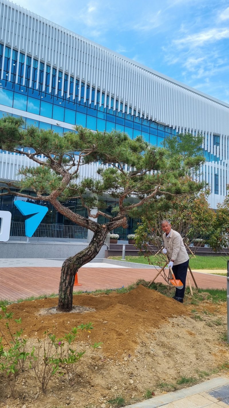 [밀양=뉴시스] 이병희 전 경상남도의회 부의장이 경상남도라이트닝 바카라 사이트청 라이트닝 바카라 사이트라이트닝 바카라 사이트원에 자신이 소장하던 70년 된 소나무를 기증해 식재하고 있다. (사진=시민 제공) 2025.05.27. photo@newsis.com *재판매 및 DB 금지