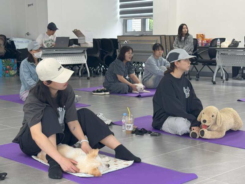 전북 임실군이 오수먹튀없는 바카라사이트 아톰카지노누리에서 먹튀없는 바카라사이트 아톰카지노견과 보호자가 함께 참여하는‘쓰담 힐링 클래스’를 운영하고 있다.(임실군제공. 재판매 및 DB금지)2025.5.28/뉴스1