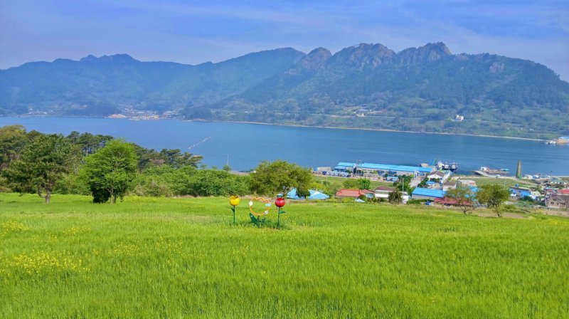 [통영=뉴시스] 신정철 기자= 28일 경남 통영시 한산도 대고포바카라 카지노과 사량도 덕동바카라 카지노에 푸른 청보리와 작약, 양귀비 등 붉은 꽃물결이 바다와 절묘한 조화를 이루고 있다.사진은 2만7957㎡의 휴경지를 개간해 조성한 사량도 덕동바카라 카지노 청보리밭 전경.(사진=통영시 제공).2025.04.28. photo@newsis.com