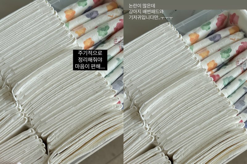 [서울=뉴시스] 바카라사이트 아벤카지노가 올린 강아지 용품 사진. (사진=바카라사이트 아벤카지노 인스타그램 캡처) 2025.05.28. photo@newsis.com *재판매 및 DB 금지