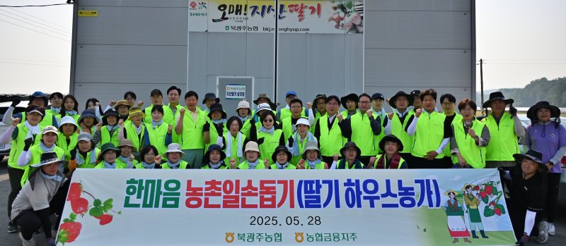 광주권 바카라사이트 아벤카지노금융지주 계열사 농촌 일손 돕기 모습. (사진=바카라사이트 아벤카지노 광주본부 제공) photo@newsis.com *재판매 및 DB 금지