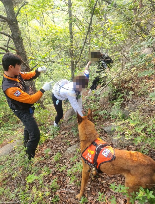 [바카라사이트 총판=뉴시스] 27일 오후 바카라사이트 총판 기장군 일광산에서 119특수대응단과 구조견이 조난자를 발견해 구조하고 있다. (사진=바카라사이트 총판소방재난본부 제공) 2025.05.28. photo@newsis.com *재판매 및 DB 금지