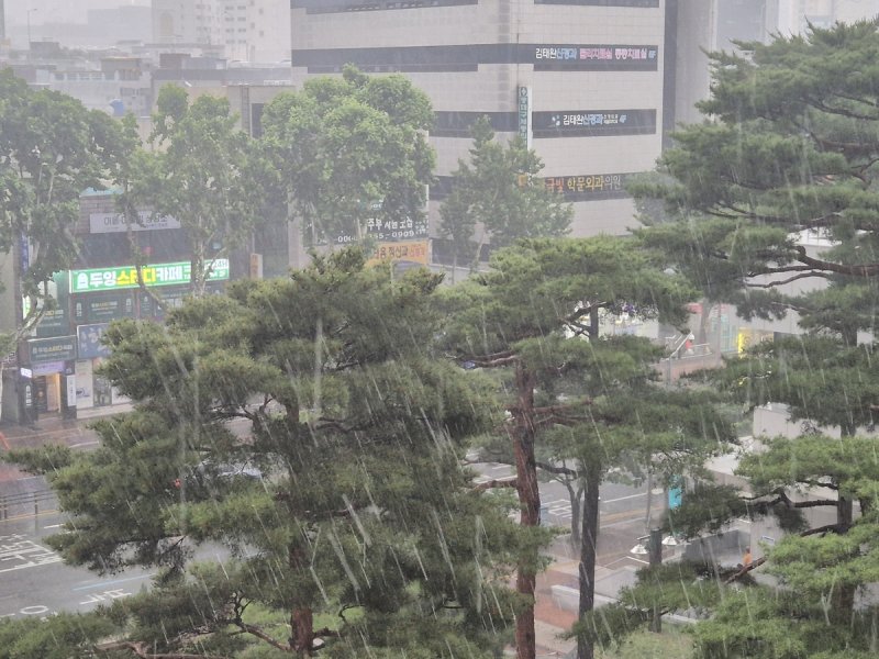 갑작스레 퍼붓는 우박과 비 (출처=연합뉴스)