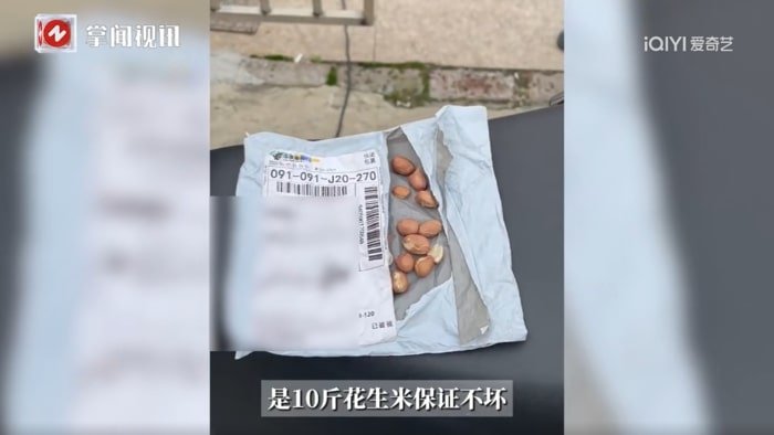 땅콩 5kg 시켰더니 10알 도착… 中 라이브커머스의 황당 사기