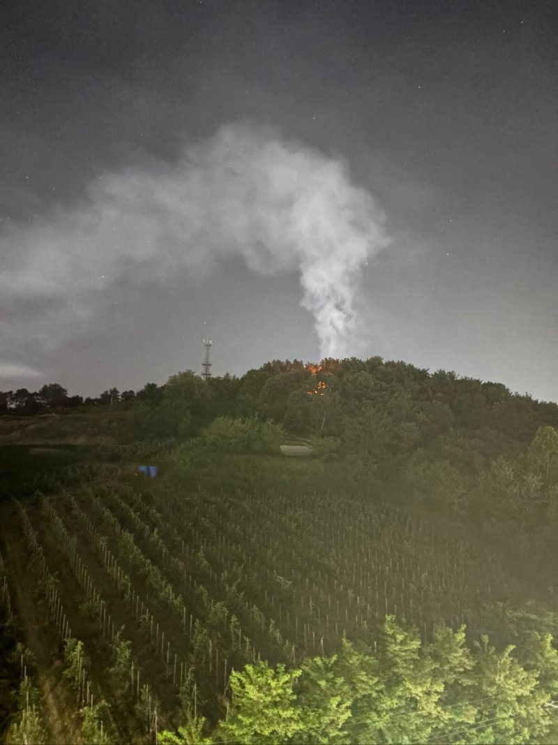 예산군 예산읍 주교리 산불 현장. (산림청 제공, 재판매 및 DB금지) / 뉴스1