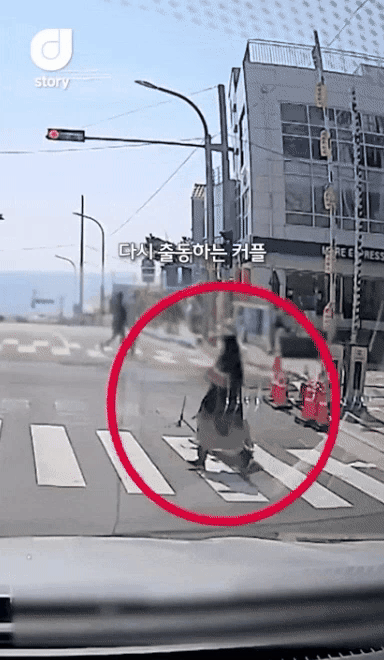 "인생샷이 뭐라고" 도로 한복판서 차량 막은 민폐 관광객 '울화통' [영상]