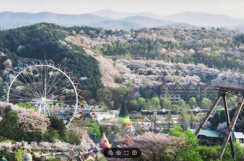 [용인=뉴시스]에버랜드 전경(사진=용인시 제공))2025.05.29.photo@newsis.com