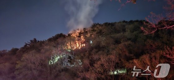 2024년 4월 13일 불이 났던 부산 사하구 천마산 모습.(사하경찰서 제공. 재판매 및 DB금지)