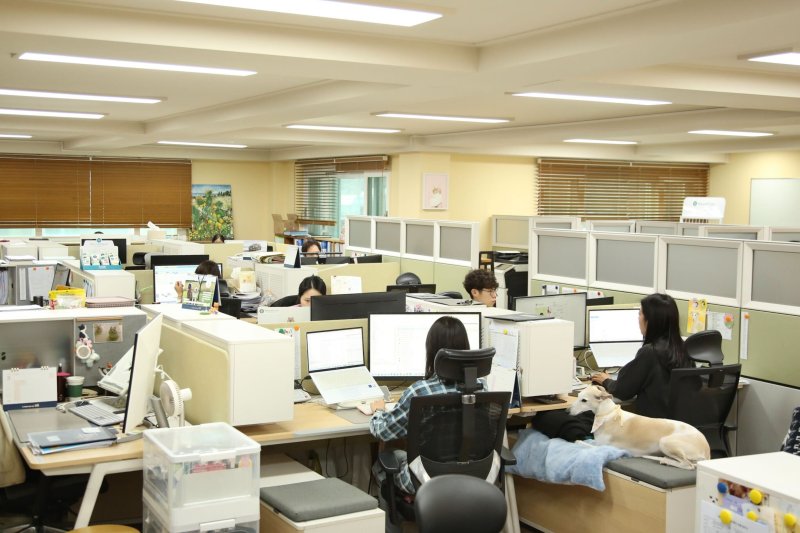 마음 아픈 아침인사 대신 댕냥이와 즐거운 출근길 동행 [Weekend 반려동물]