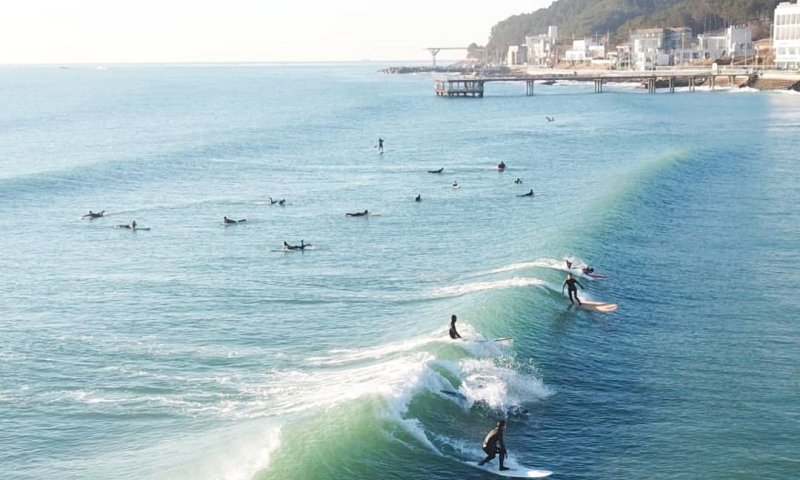 바다 건너 K서핑 전한 서프숍 "예약 플랫폼으로 새 도전"