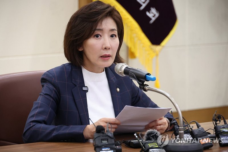 국민의힘 나경원 공동선대위원장 (출처=연합뉴스)