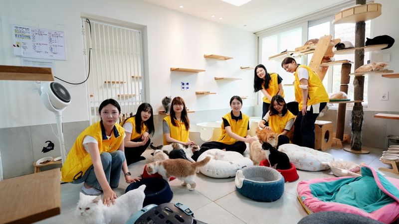 30일 서울 용산구 나비야사랑해 동물보호소에서 HDC현대산업개발·HDC아이파크몰·HDC신라면세점 임직원들이 봉사활동 기념촬영을 하고 있다. HDC현대산업개발 제공