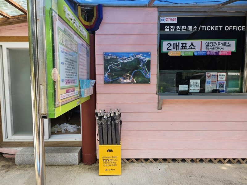 삼척시 양심 양산 (출처=연합뉴스)