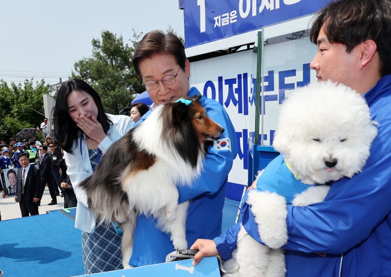 [춘천=뉴시스] 조성우 기자 = 이재명 더불어민주당 대선후보가 30일 오후 강원 춘천시 춘천역 광장에서 열린 집중유세에서 강원도에 사는 강아지 토리, 뭉치를 안아 보고 있다. 2025.05.30. xconfind@newsis.com