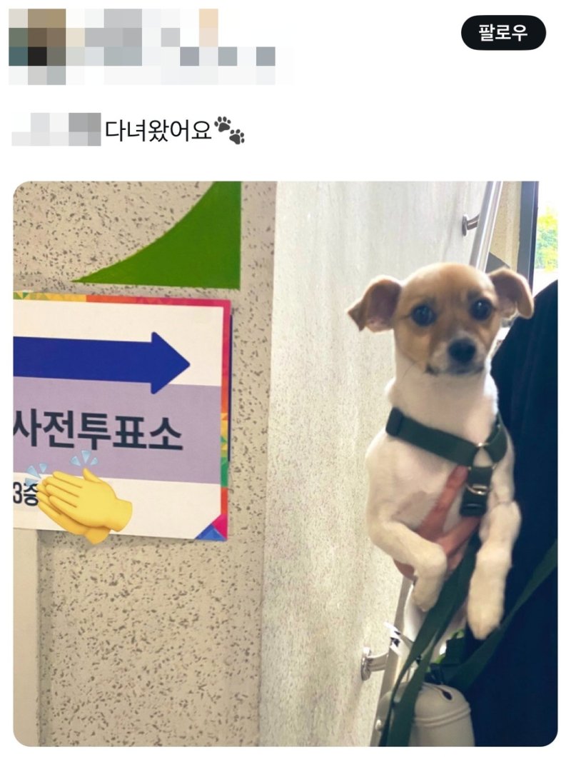 [샷!] "진짜 '개표'하겠네∼" (출처=연합뉴스)