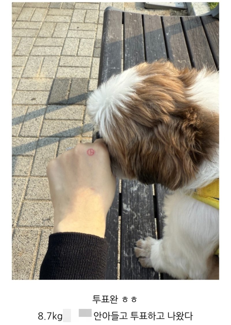 [샷!] "진짜 '개표'하겠네∼" (출처=연합뉴스)