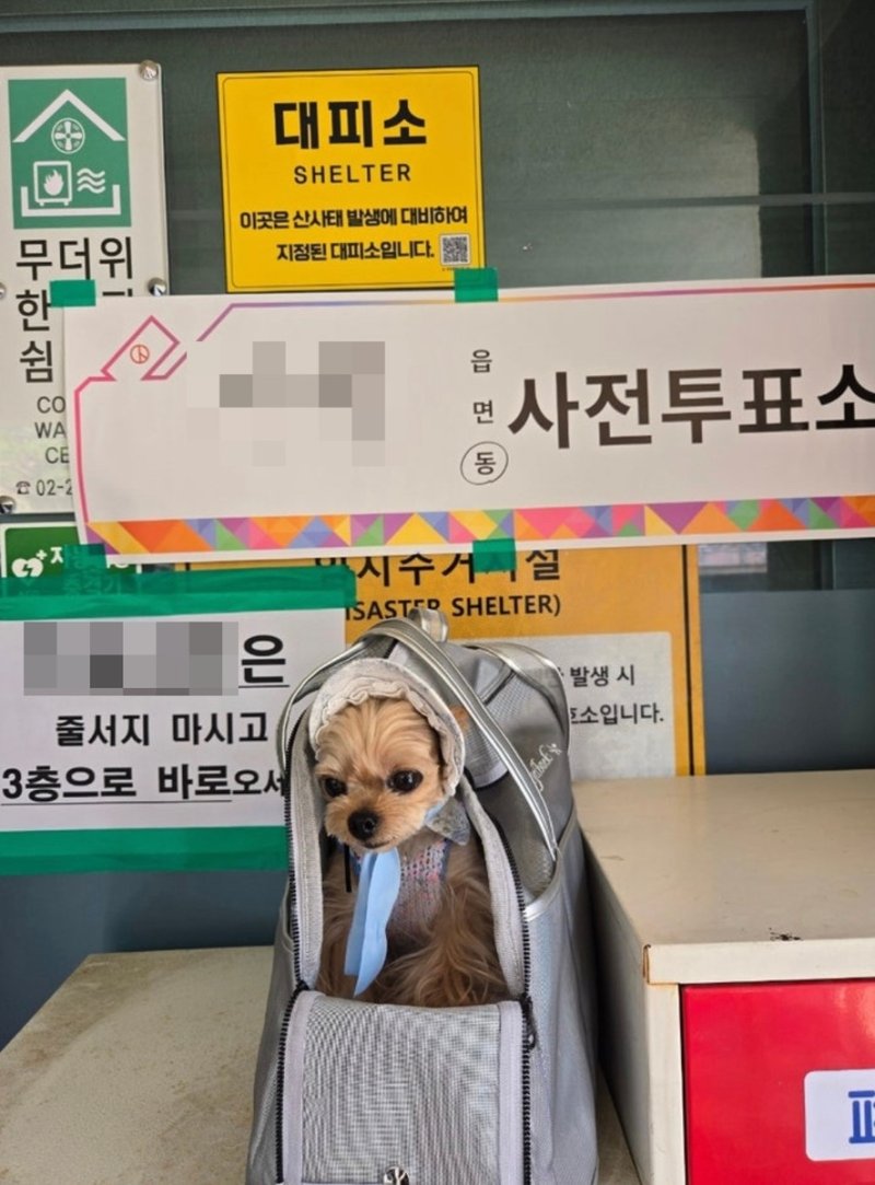 [샷!] "진짜 '개표'하겠네∼" (출처=연합뉴스)