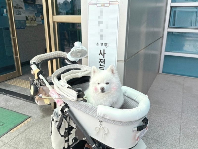 [샷!] "진짜 '개표'하겠네∼" (출처=연합뉴스)