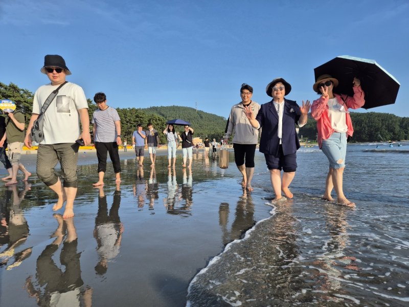 지난해 라이브스코어 바카라사이트 송호해변에서 맨발걷기 행사 (라이브스코어 바카라사이트군 제공. 재판매 및 DB금지) /라이브스코어 바카라사이트1