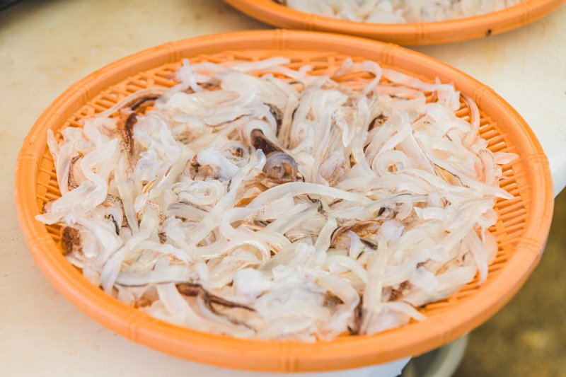 속초 바카라 토토 사이트에서 판매하는 바카라 토토 사이트회 자료사진.(속초시 제공, 재판매 및 DB 금지)