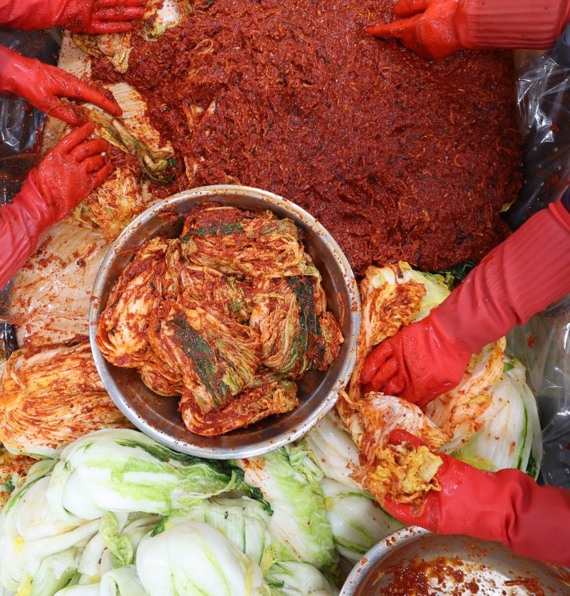 [인천=뉴시스] 전진환 기자 = 28일 오후 인천 연수구 대한적십자사 인천지사에서 적십자 봉사원들이 사랑의 김장 나눔 행사에 참가해 김장을 담그고 있다. 기사 내용과 관련 없음. 2024.11.28. amin2@newsis.com