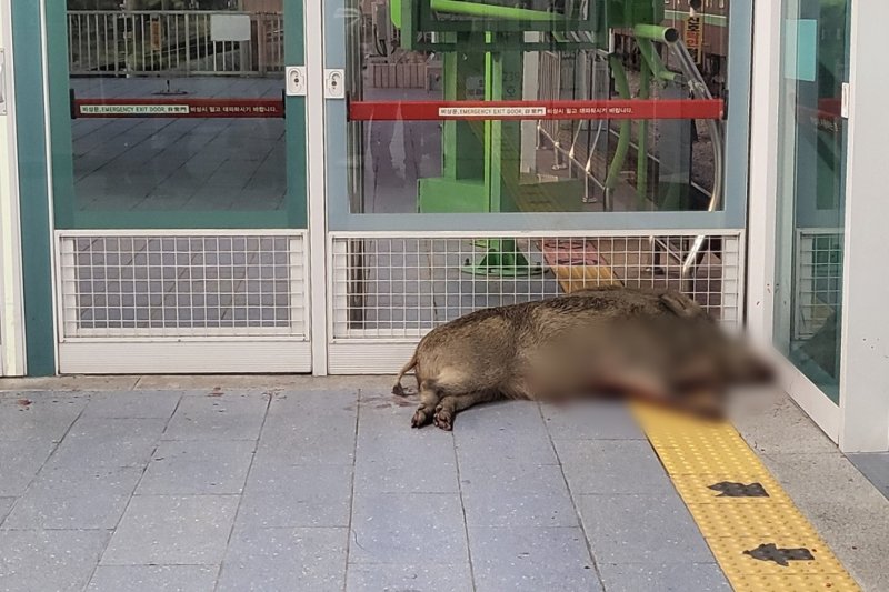(사진은 기사 내용과 무관함) / 바카라 가상 머니 사이트1 ⓒ News1