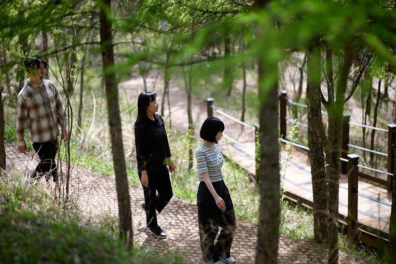 [정선=뉴시스] 카지노 꽁 머니 하늘숲길을 산책하는 관광객들 모습. (사진=카지노 꽁 머니 제공) 2025.06.01. photo@newsis.com *재판매 및 DB 금지