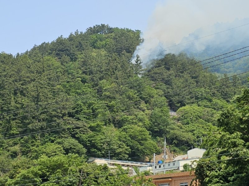 1일 오전 8시 52분쯤 경북 꽁 머니 카지노 서면 남양리 야산에서 산불이 발생했다.(산림청 제공. 재판매 및 DB금지) 2025.6.1/뉴스1 ⓒ News1 김종엽 기자