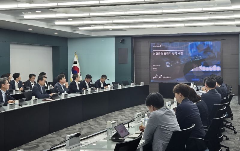 농협금융, 중장기전략 컨설팅 착수...비은행 수익성 제고