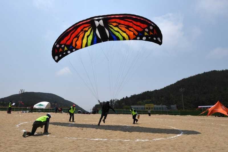 1일 경북 라이브 바카라시 북구 흥해읍 칠포해수욕장 백사장과 곤륜산 일원에서 개최된 '2025 한국 패러글라이딩 리그 1차전(정밀착륙)' 경기에서 호랑나비 패러글라이더가 목표 지점을 터치하고 있다. 2025.6.1/뉴스1 ⓒ News1 최창호 기자