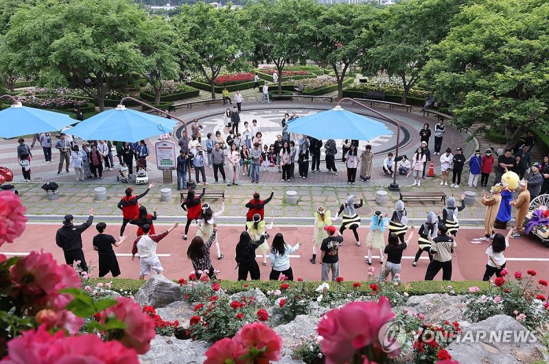 장미꽃길 걸어요…삼척장미축제 (출처=연합뉴스)