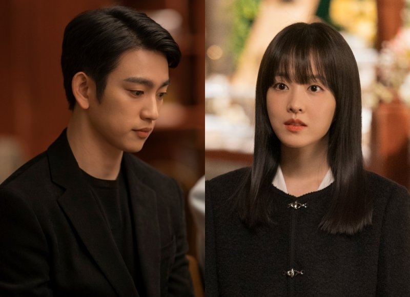 바카라 에볼루션, 박보영/ tvN 제공